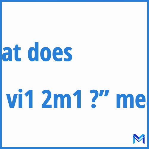 What does ”tu vi1 2m1 ?”” mean?